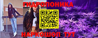 ешки Кингисепп