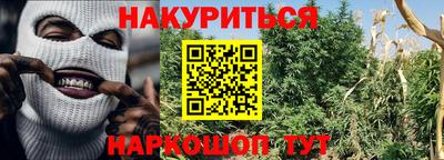 ешки Кингисепп