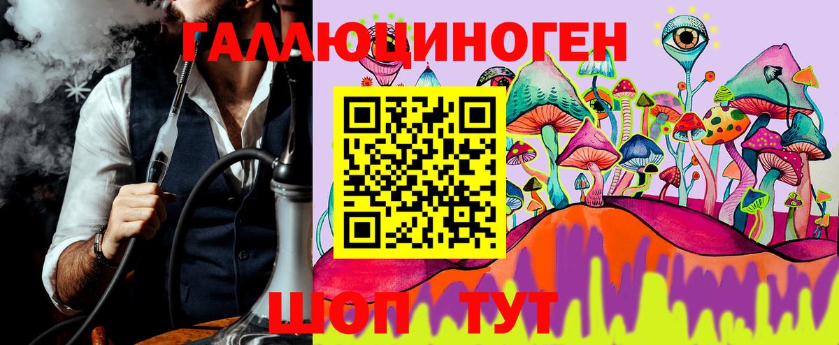 дарнет шоп  Вход с VPN  Псилоцибиновые грибы MAGIC MUSHROOMS  Чита  Псилоцибиновые грибы мухоморы 